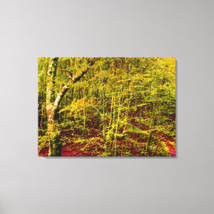 nature canvas print