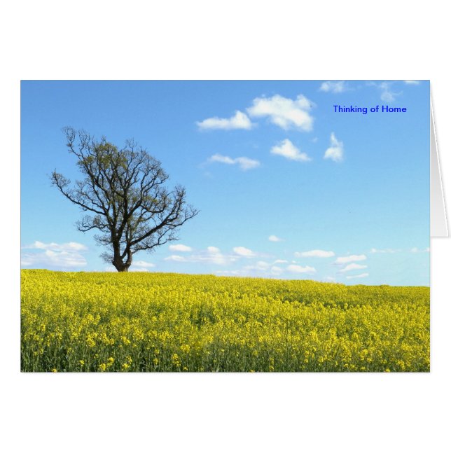 Nature Card (Front Horizontal)
