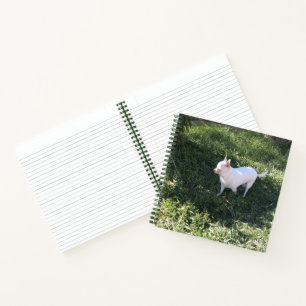 Nature Chihuahua Spiral Notebook