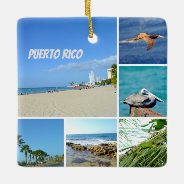 Nature collage of San Juan, Puerto Rico  Ceramic Ornament (Front)