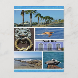 Nature collage of San Juan, Puerto Rico Postcard