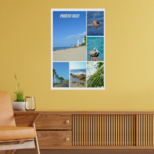 Nature collage of San Juan, Puerto Rico Poster