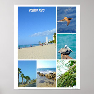 Nature collage of San Juan, Puerto Rico  Poster