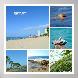 Nature collage of San Juan, Puerto Rico  Poster