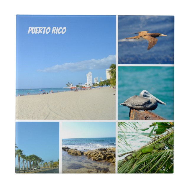 Nature collage of San Juan, Puerto Rico Tile (Front)