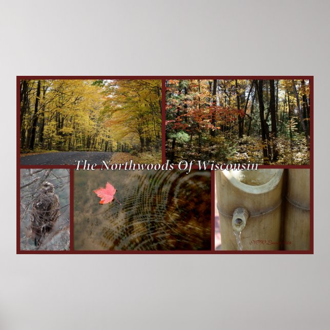 Nature Collage Print Northwoods Wisconsin Seasonal (Front)