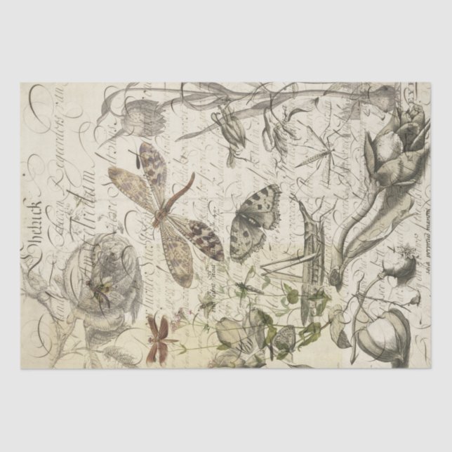 Nature Collage Tissue Paper (Front)
