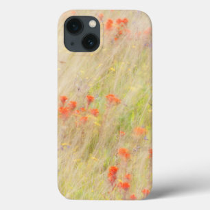 Nature Conservancy San Juan Islands, WA iPhone 13 Case