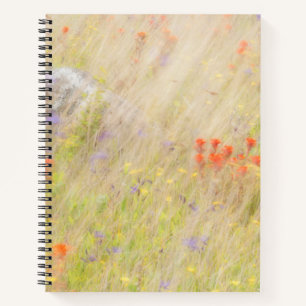 Nature Conservancy San Juan Islands, WA Notebook