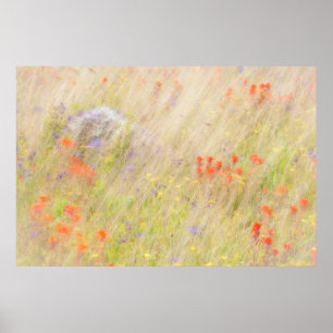 Nature Conservancy   San Juan Islands, WA Poster