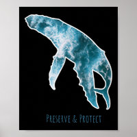 Nature Conservation Whale Environmental Protection