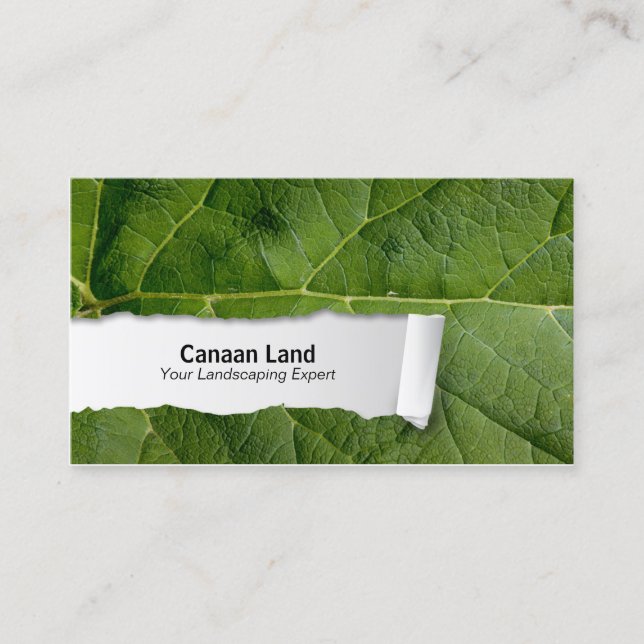 Nature Customisable Leaf Closeup Business Card (Front)