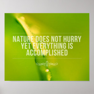 Nature Does Not Hurry   Inspirational Quote Poster