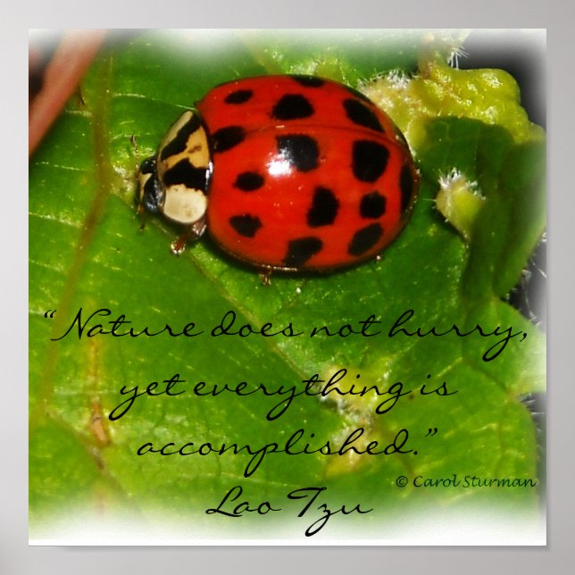 Nature Does Not Hurry Poster (Front)