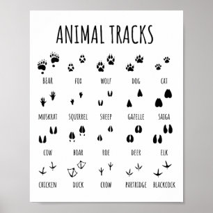 Nature Explorer Animal Tracks Tee For Camping Hiki Poster