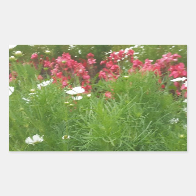 Nature Floral Pink and White Flowers Grass Rectangular Sticker (Front)