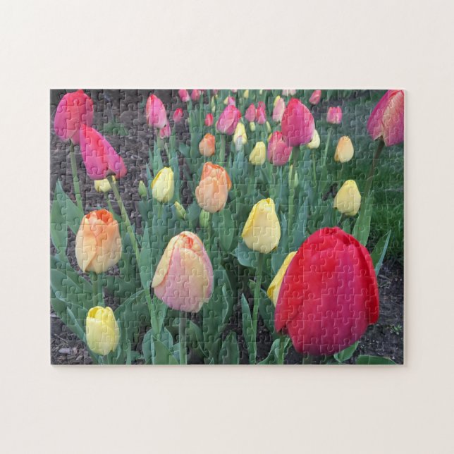 Nature Floral Tulips Photo Jigsaw Puzzle (Horizontal)
