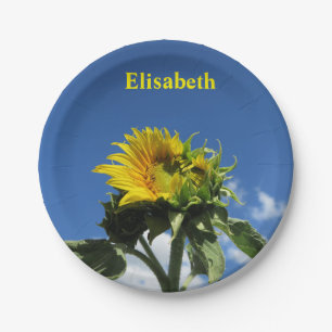 nature, flower, summer, sunflower, blossom,floral, paper plate