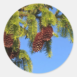 Nature forest photo sticker with branches