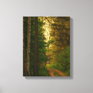 Nature Forest Rural Hut Village Belarus Canvas Print
