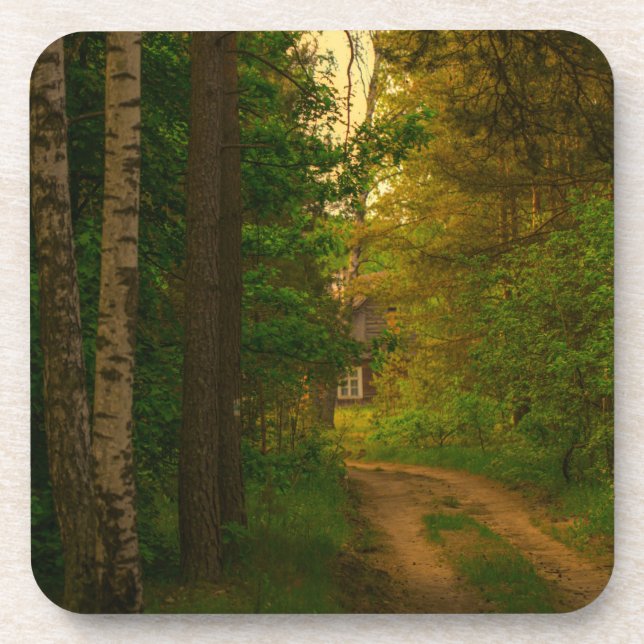 Nature Forest Rural Hut Village Belarus Coaster (Front)