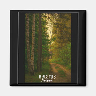 Nature Forest Rural Hut Village Belarus Unknown Magnet