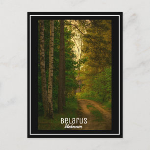 Nature Forest Rural Hut Village Belarus Unknown Postcard