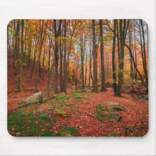 nature, forest, trees mouse mat