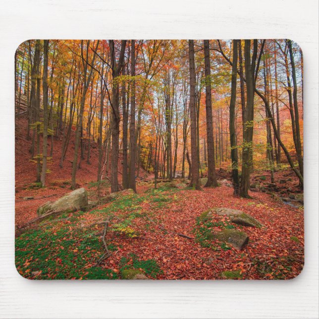 nature, forest, trees mouse mat (Front)