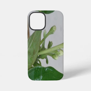 Nature gift of birthday, 2026, new year, valentine iPhone 12 mini case