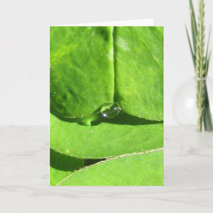 Nature Goddess Clover with Dew Card