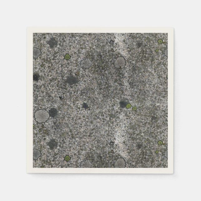 Nature Granite Rock with Green Moss Napkin (Front)
