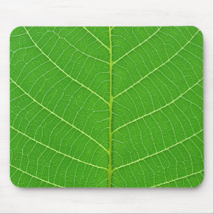 nature green tree leaf texture mouse mat