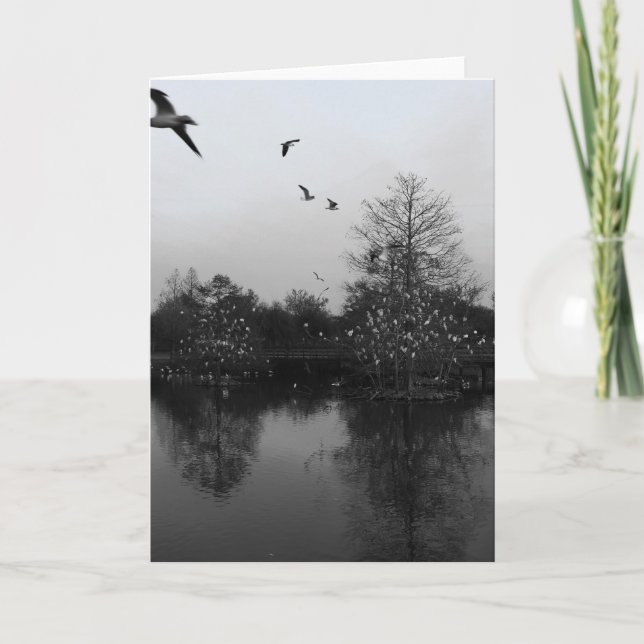 Nature greeting card (Front)