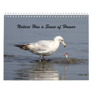 Nature Has a Sense of Humour Calendar