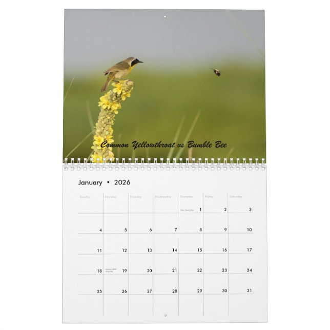 Nature Has a Sense of Humour Calendar (Jan 2026)