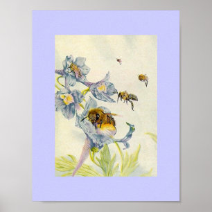 Nature Honey Bees and Morning Glory Flowers Lilac Poster