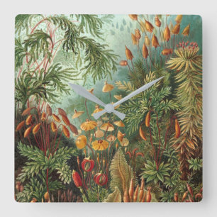 NATURE ILLUSTRATION BY ERNST HAECKEL SQUARE WALL CLOCK