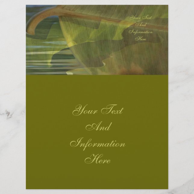 Nature In Balance Letterhead (Front)