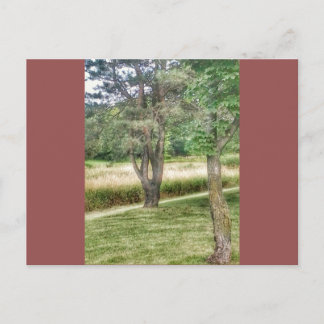 Nature In Beauty 2 Postcard