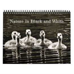 Nature in Black and White Calendar