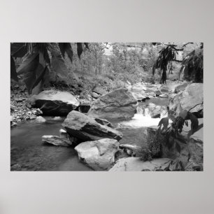 Nature in black & white poster