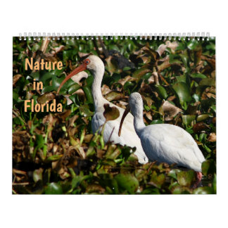 Nature in Florida Calendar