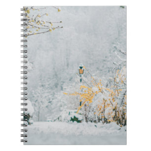 nature in the snow vintage rendering lensart, beau notebook