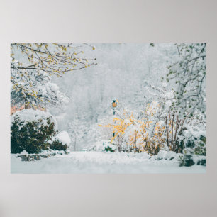 nature in the snow vintage rendering lensart, beau poster