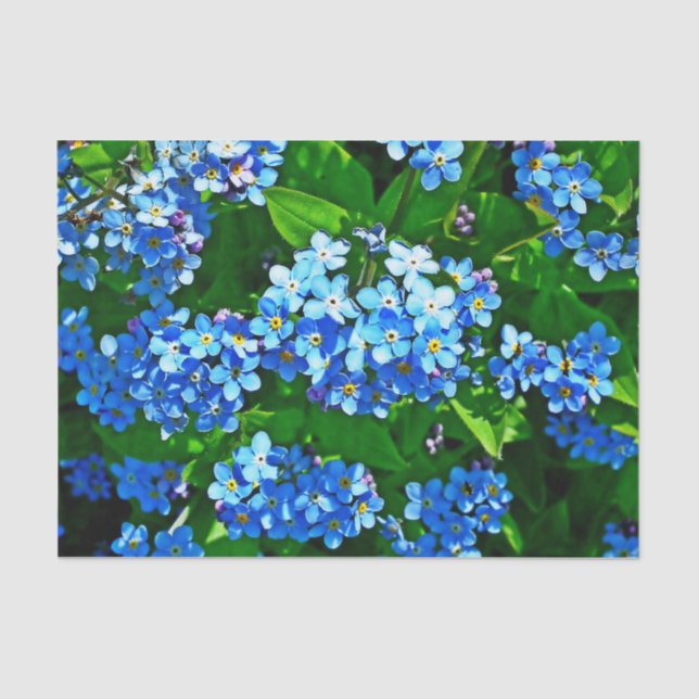 Nature Inspirations Bright Blue Forget Me Nots  Tissue Paper (Front)