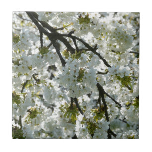 Nature Inspirations Cherry Blossoms Tile