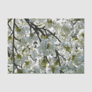 Nature Inspirations Cherry Blossoms Tissue Paper