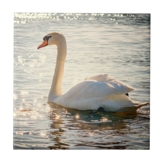 Nature Inspirations Elegant Swan Tile (Front)