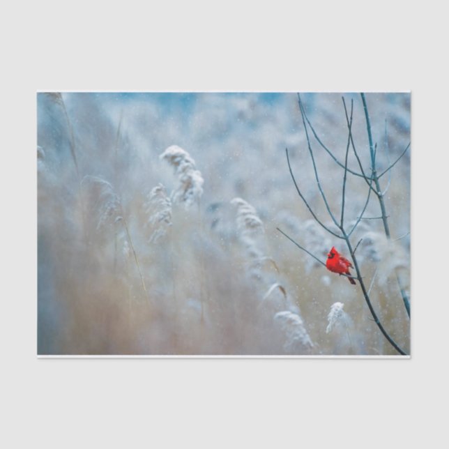 Nature Inspirations Red Cardinal in Wintry Forest Tissue Paper (Front)